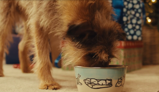 pet-valu-feast-on-love-2025